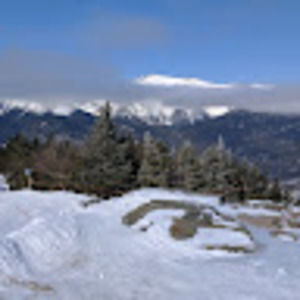 Meet your Posher, Charlene